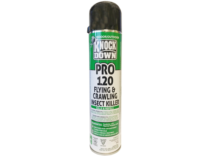 KnockDown KD120P - Flying and Crawling Insect Spray