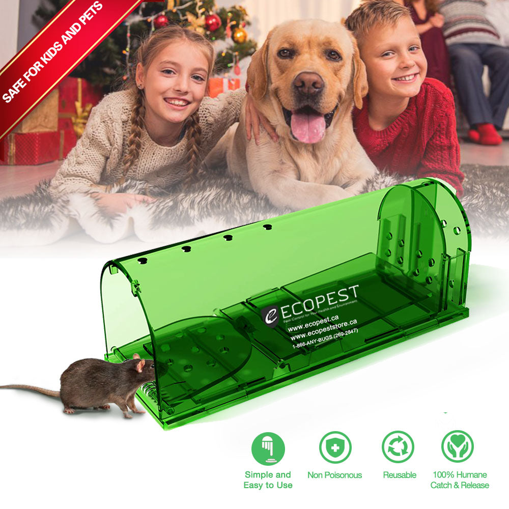 Humane Catch and Release Mouse Traps Pack of 4 - Perfect for House, Indoor  & Outdoor - Easy Set Durable Mice Traps, Safe for Children, Pets & Humans 