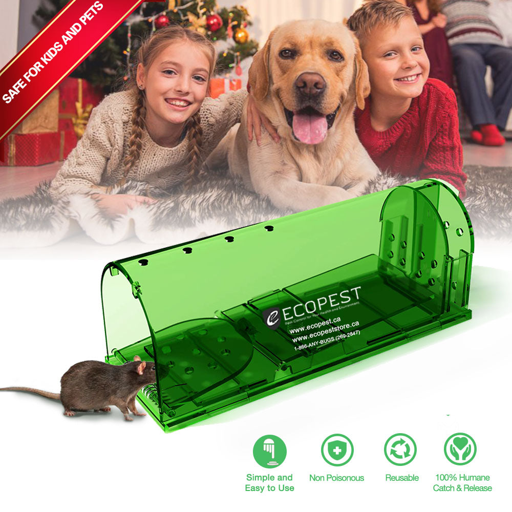 ECOPEST Humane Mouse Trap