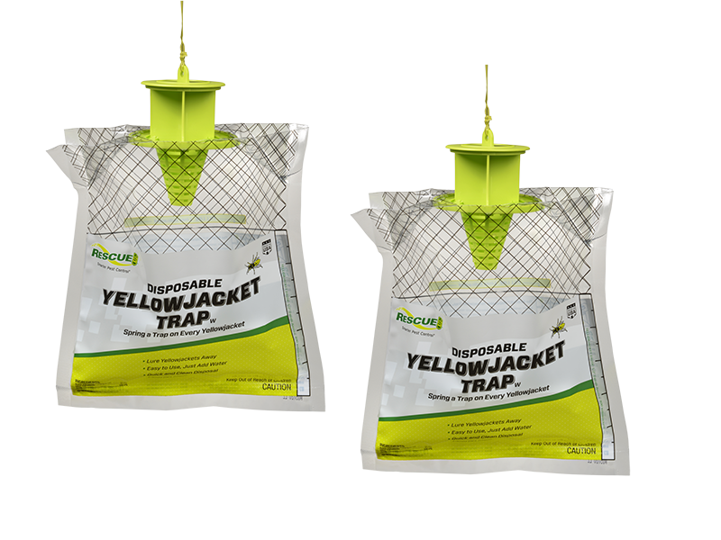 RESCUE! Disposable Yellow Jacket Trap - East Coast - Multi Pack