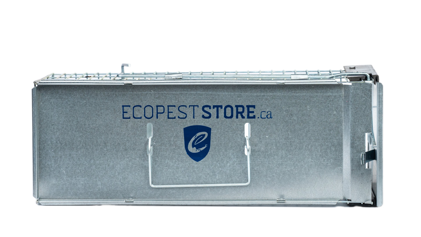 ECOPEST X-Small Professional Style One-Door Animal Trap (piège à animaux à une porte)