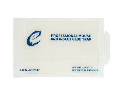 ECOPEST Mouse & Insect Glue Boards, Scented