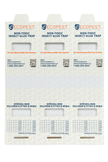 ECOPEST - Insect Trap and Monitor - (36 x Cards = 108 Traps) - A Non-Poisonous Glue Trap That captures and Monitors Insects.…