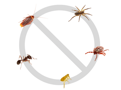 Ant & Roach Insect Killer - Home & Garden Professional Insecticide Powder