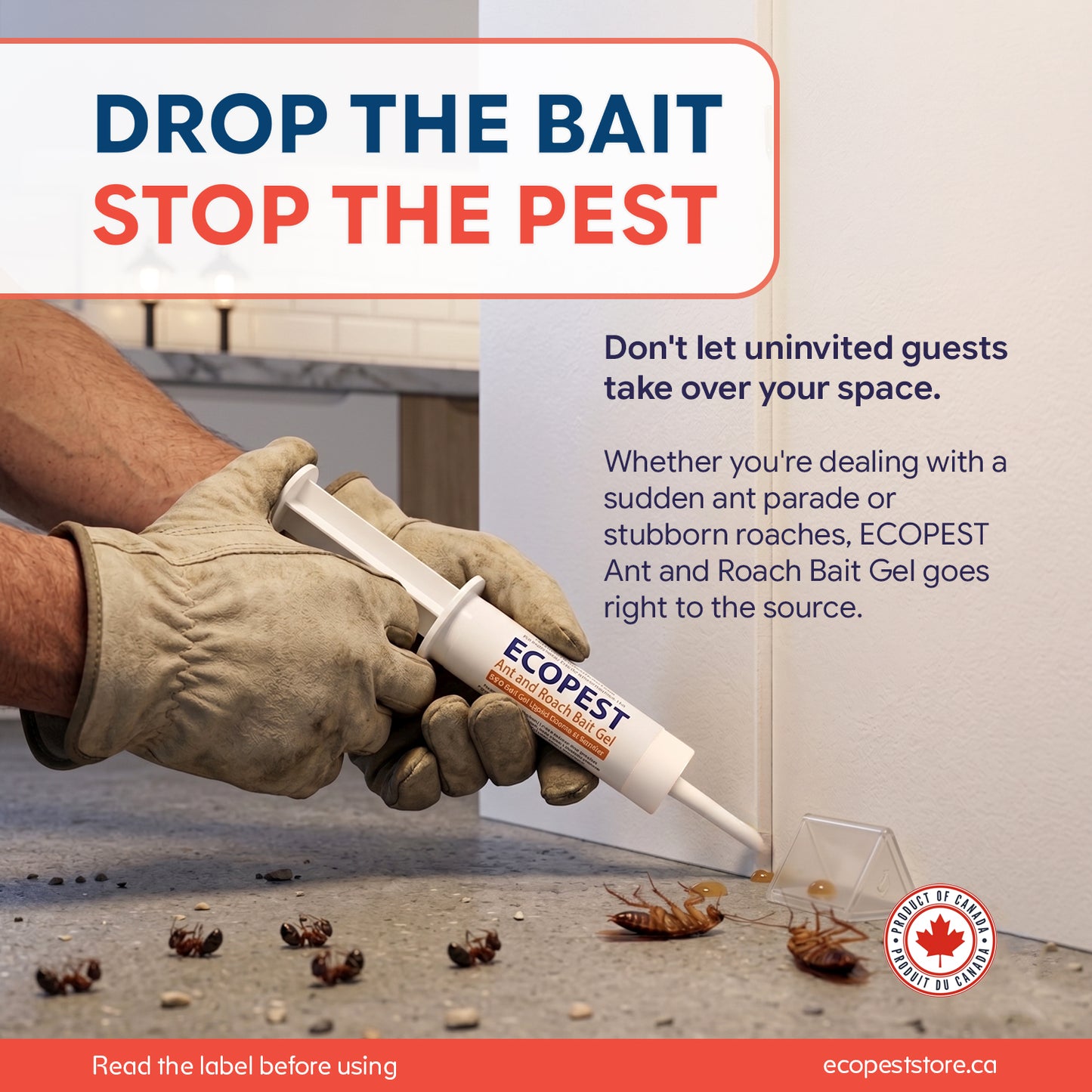 ECOPEST Ant and Roach Bait Gel - FBM