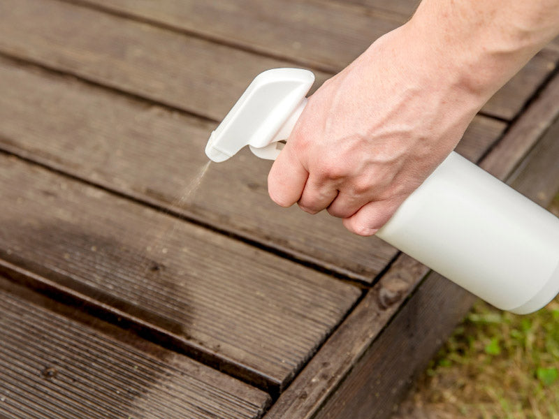 ECOPEST - Punaise de lit, cafard, fourmis TOTAL INSECT KILLER - 1L - Araignées, punaises des plantes et bien plus encore