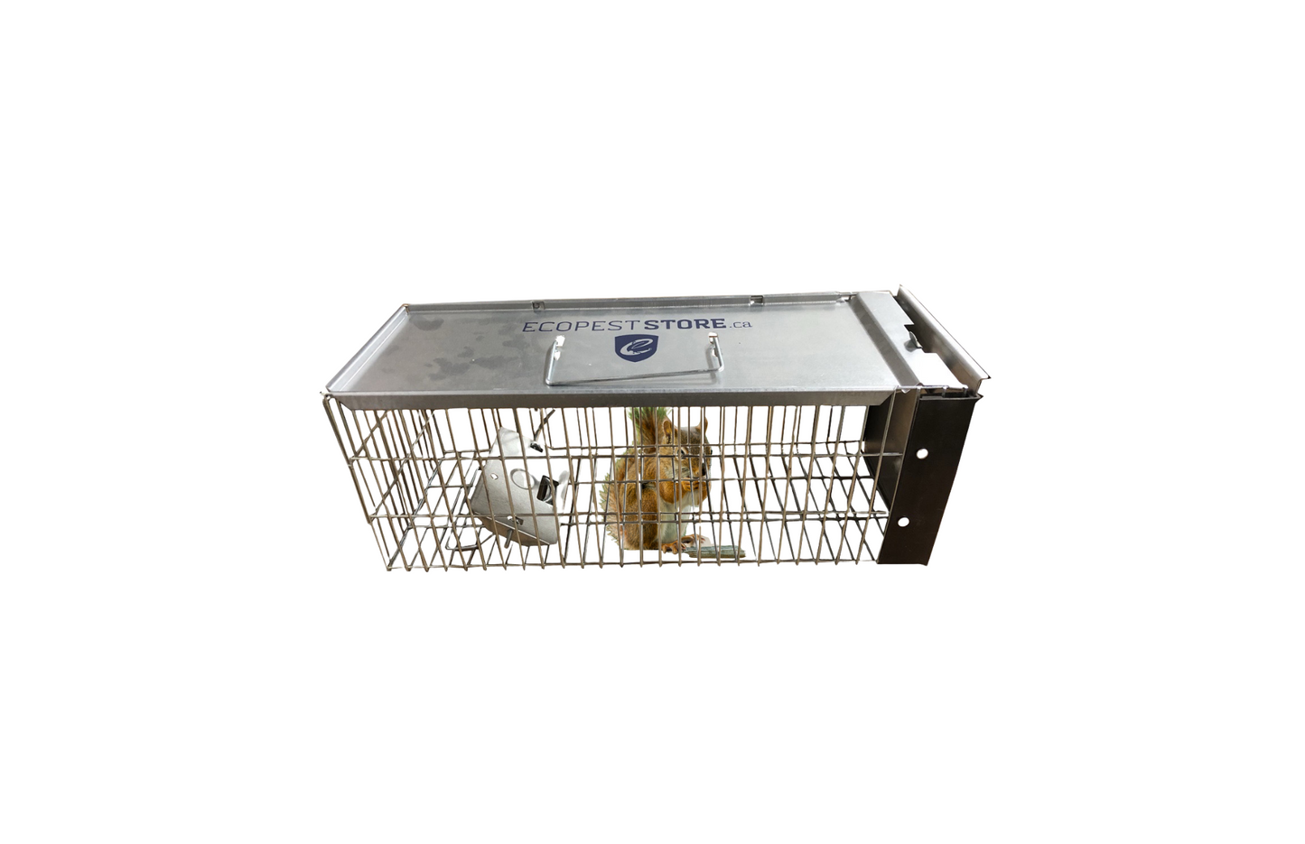 ECOPEST X-Small Professional Style One-Door Animal Trap