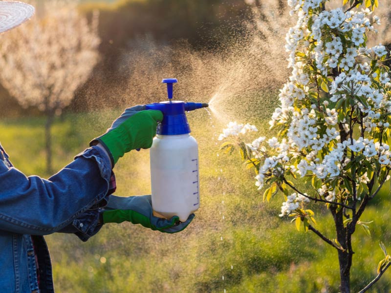 Mosquito Barrier and Repellent