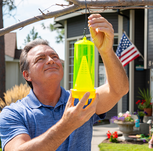Reusable Yellow Jacket Fly Trap