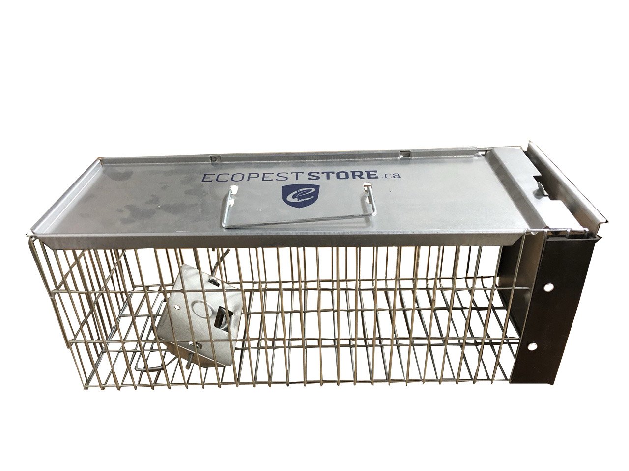 ECOPEST X-Small Professional Style One-Door Animal Trap for Chipmunks, Squirrels, Rats, and Weasels