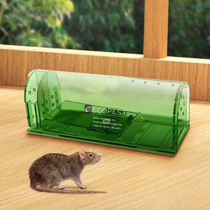 ECOPEST Humane Mouse Trap
