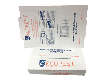 ECOPEST - Best Mouse & Insect Glue Boards on The Market Better Than Trapper LTD, JT Eaton, Victor & Masterline