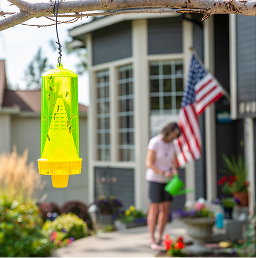 Reusable Yellow Jacket Fly Trap