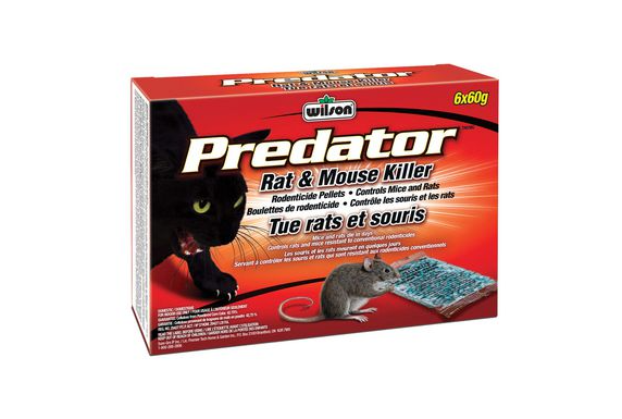 Wilson Predator - Destructeur de rats et de souris - 6x60g